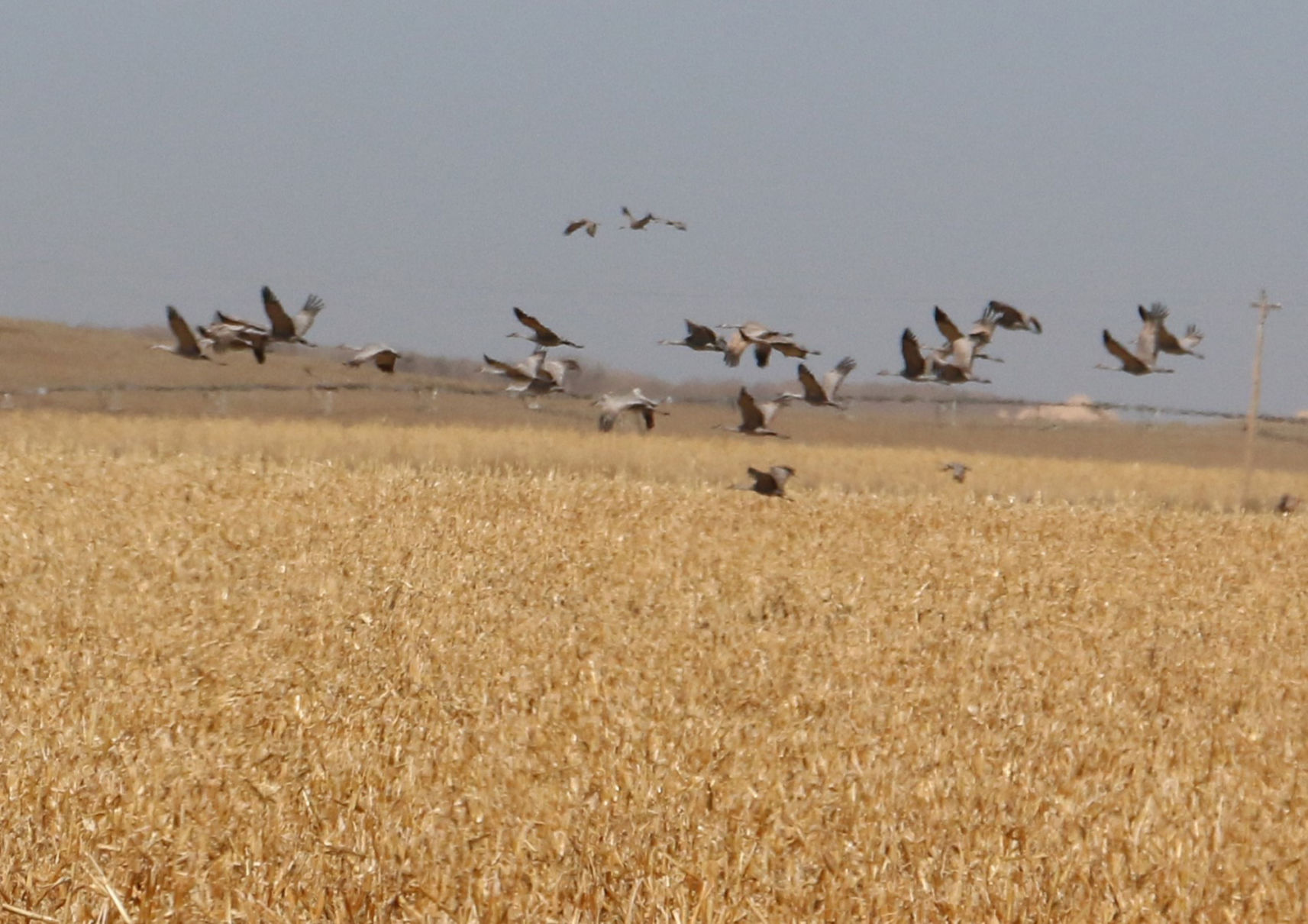 PHOTOS: Backroads